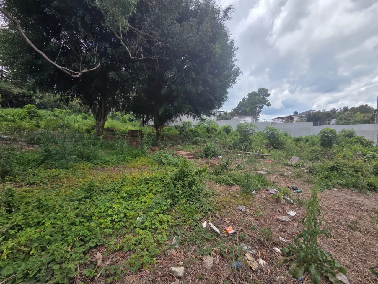 Terreno en alquiler km 17.5 entrada a Olmeca CAES — foto 3 de 7