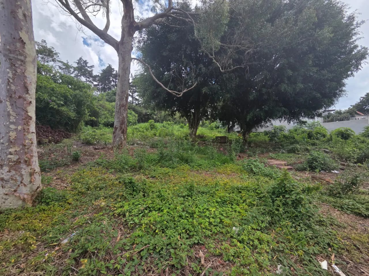 Terreno en alquiler km 17.5 entrada a Olmeca CAES — foto 2 de 7