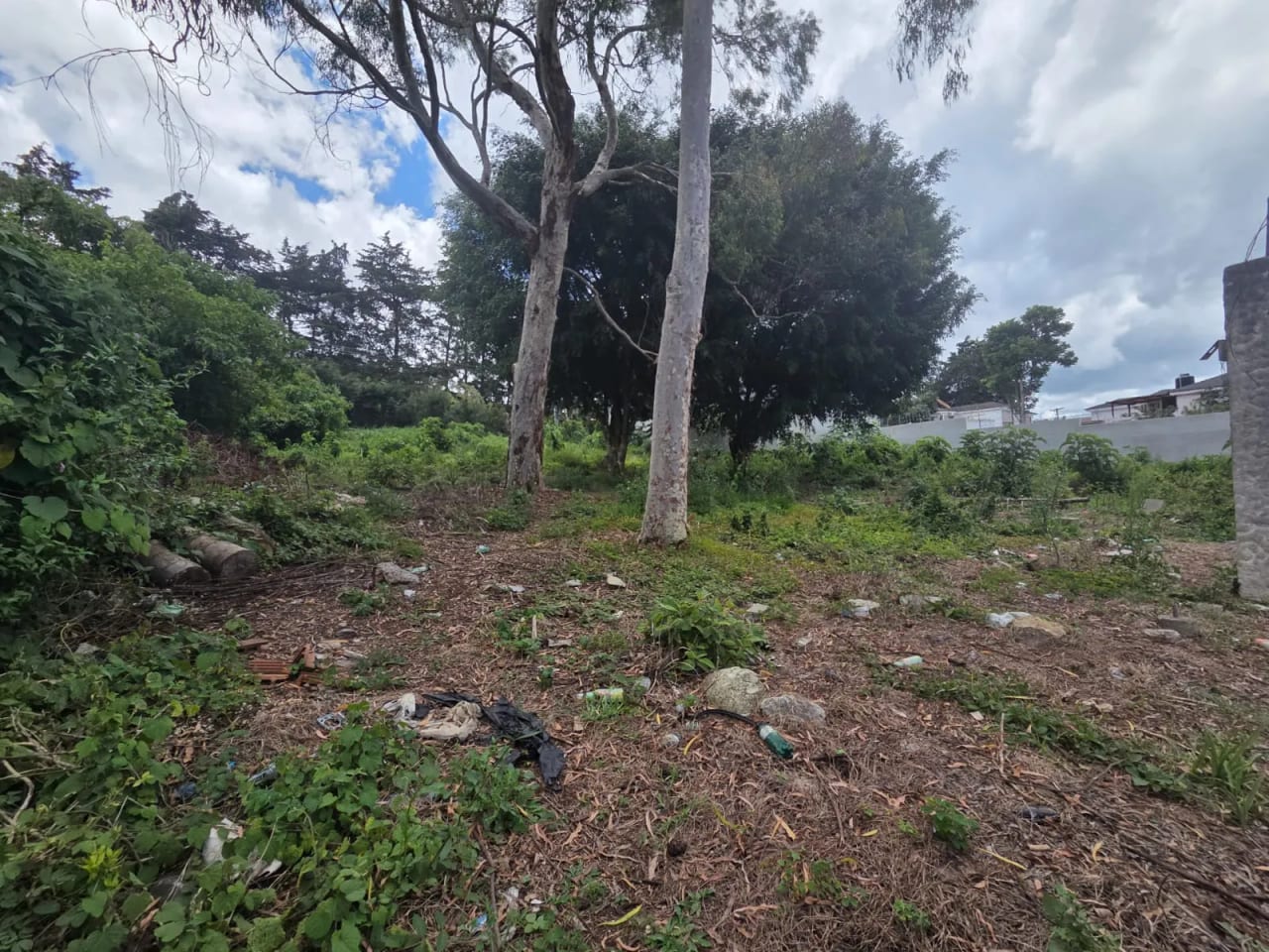 Terreno en alquiler km 17.5 entrada a Olmeca CAES — foto 1 de 7