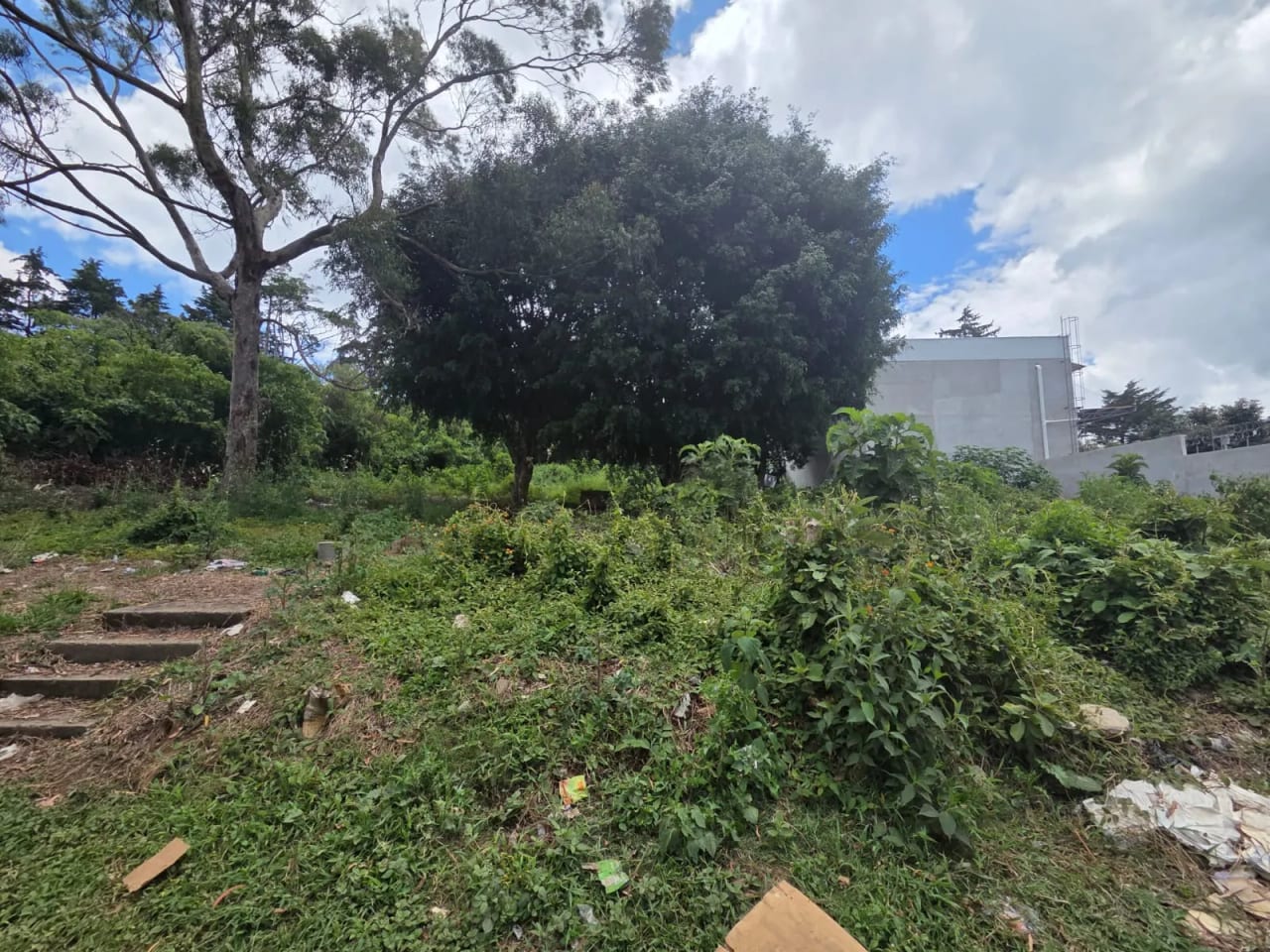 Terreno en alquiler km 17.5 entrada a Olmeca CAES — foto 4 de 7