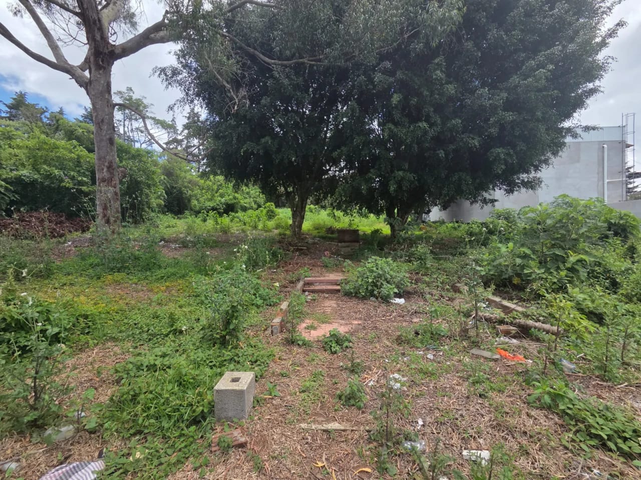 Terreno en alquiler km 17.5 entrada a Olmeca CAES — foto 5 de 7