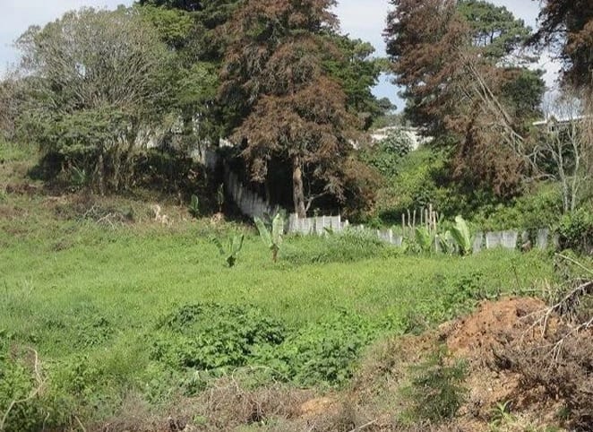 Terreno en venta para desarrollo inmobiliario en CAES — foto 1 de 17