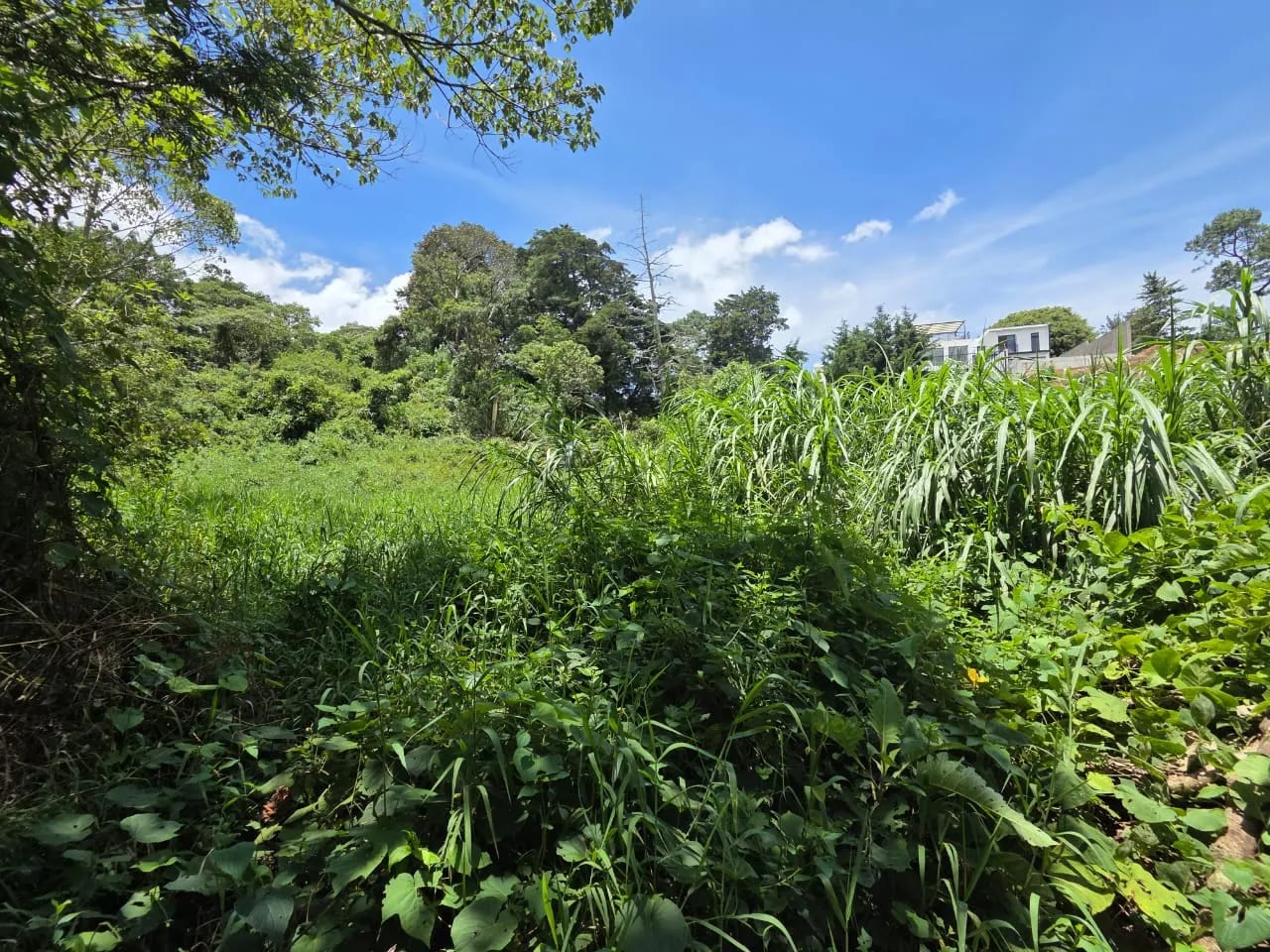 Terreno en venta para desarrollo inmobiliario en CAES — foto 3 de 17