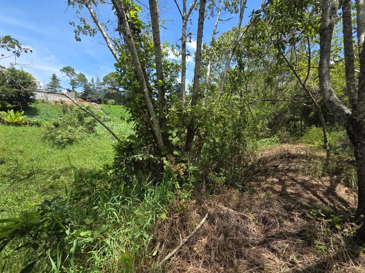 Terreno en venta para desarrollo inmobiliario en CAES — foto 2 de 17