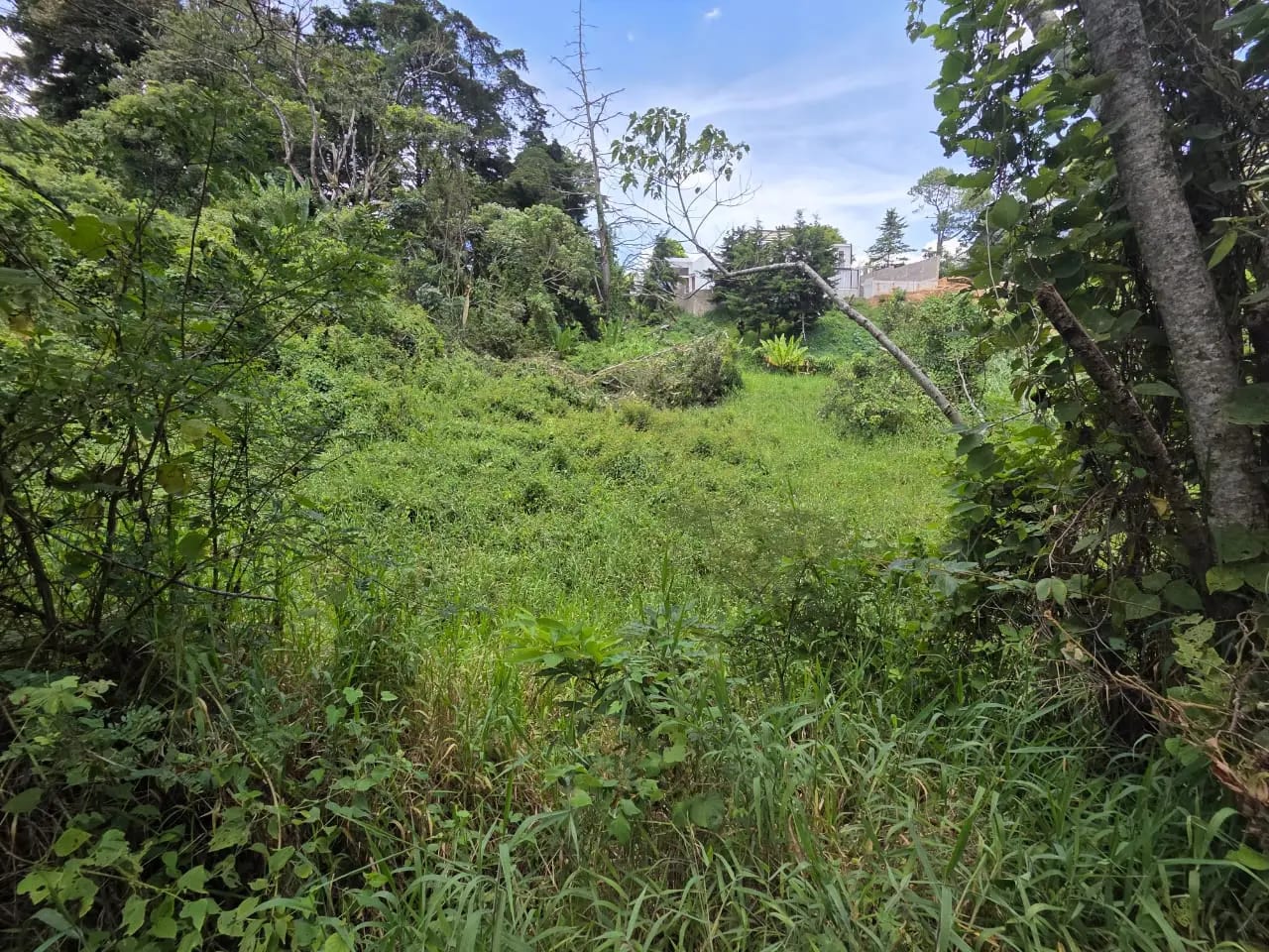 Terreno en venta para desarrollo inmobiliario en CAES — foto 4 de 17