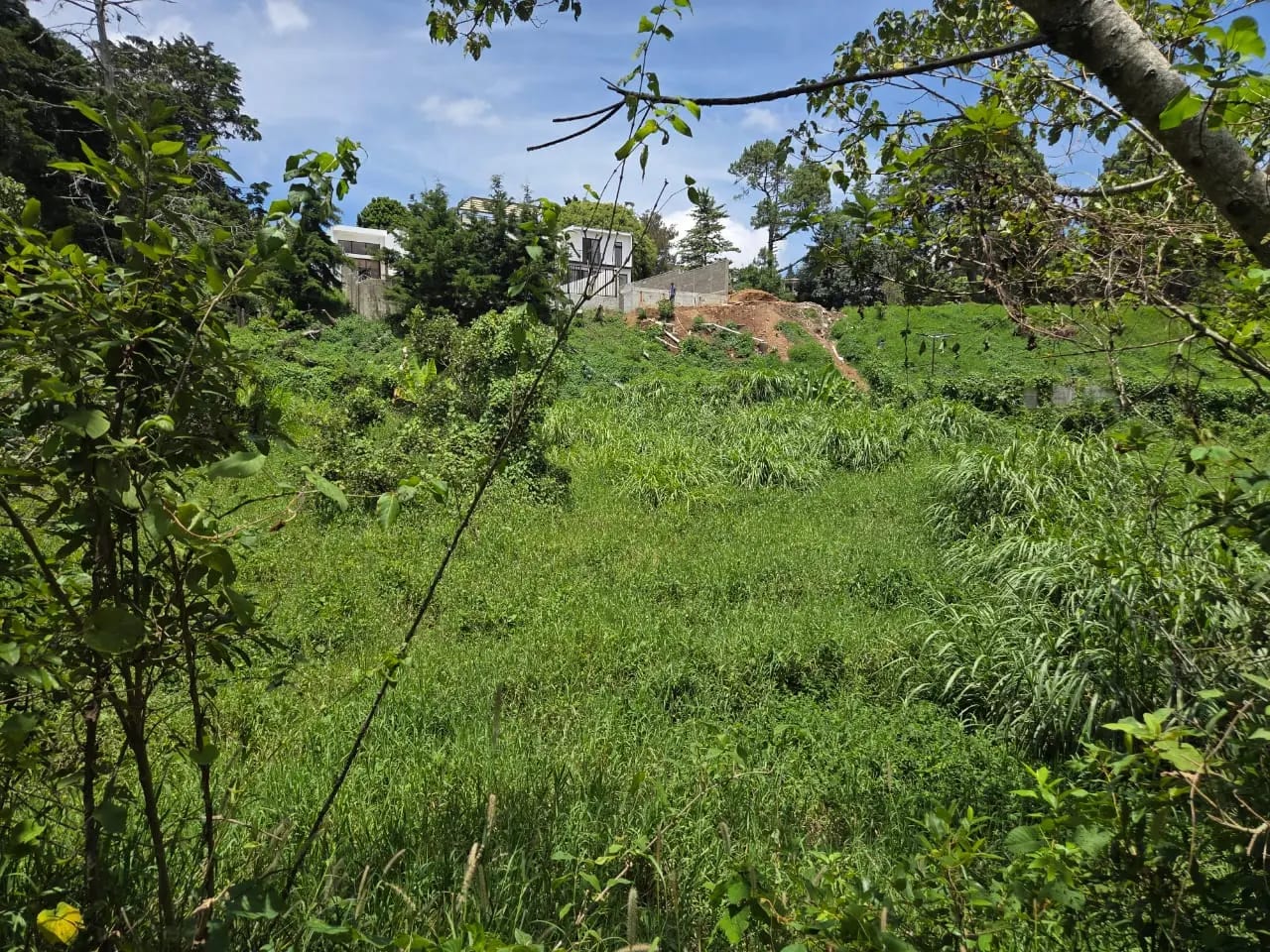 Terreno en venta para desarrollo inmobiliario en CAES — foto 6 de 17