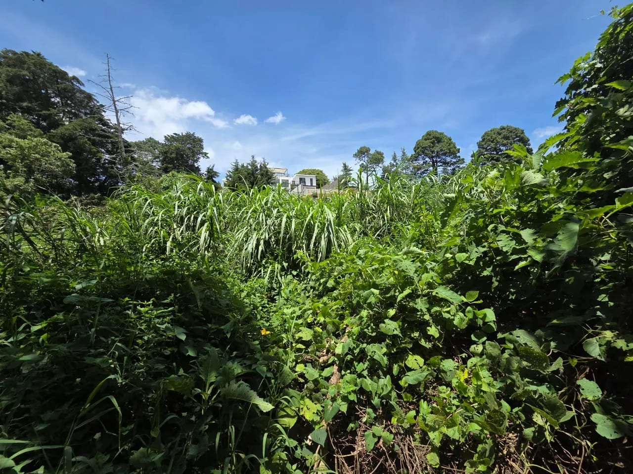 Terreno en venta para desarrollo inmobiliario en CAES — foto 11 de 17