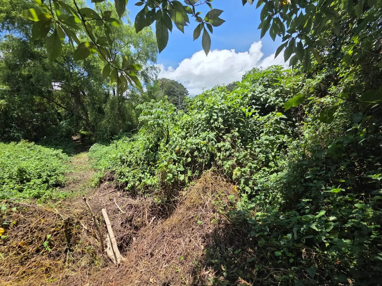 Terreno en venta para desarrollo inmobiliario en CAES — foto 10 de 17