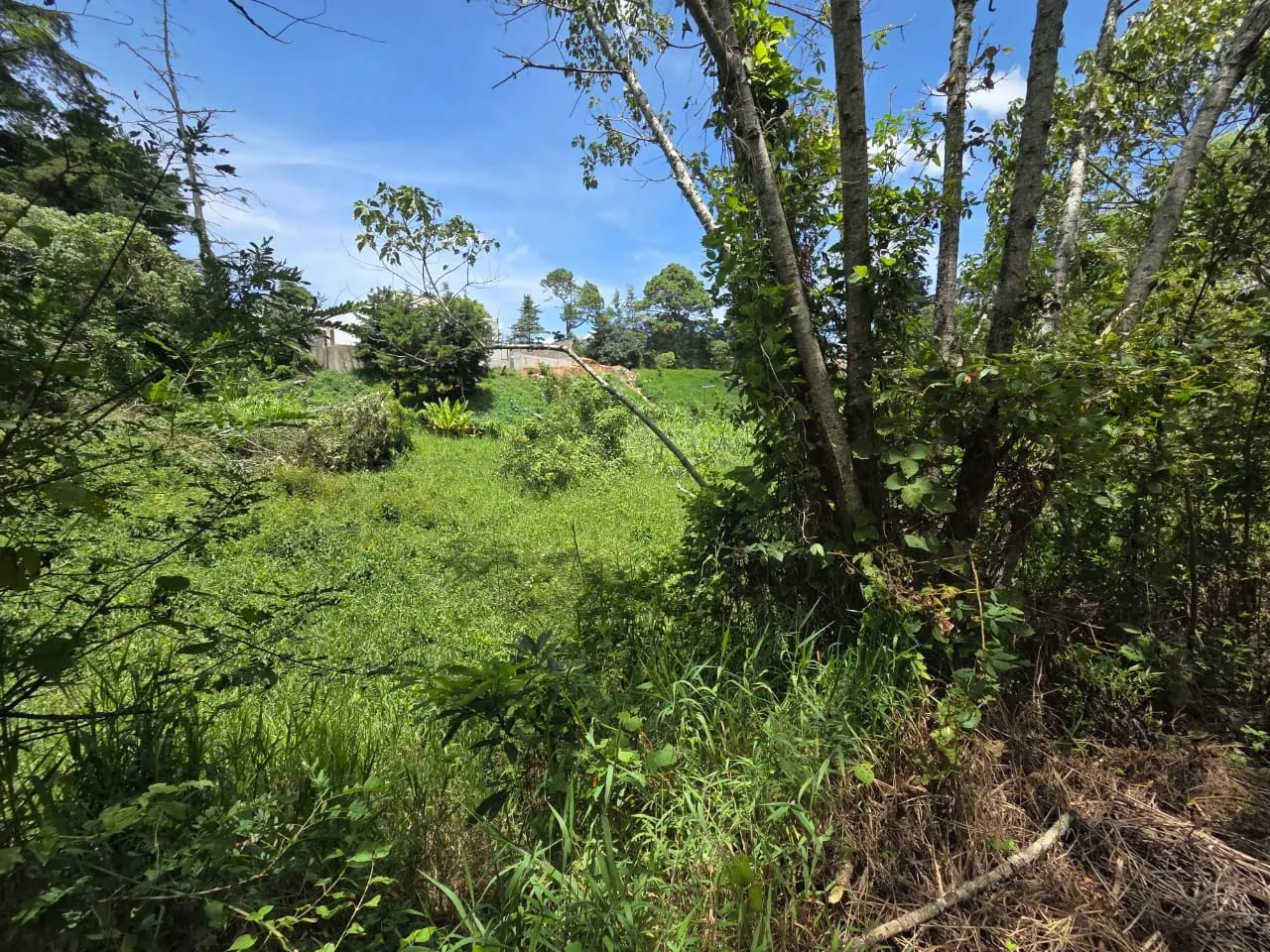 Terreno en venta para desarrollo inmobiliario en CAES — foto 14 de 17