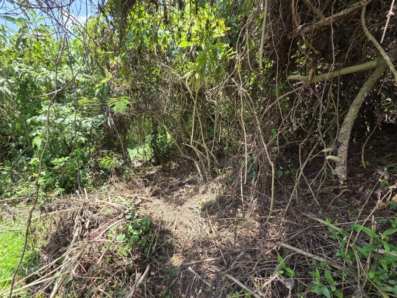 Terreno en venta para desarrollo inmobiliario en CAES — foto 13 de 17