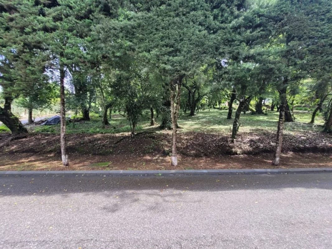 Amplio terreno en km 20 CAES Fraijanes — foto 1 de 6