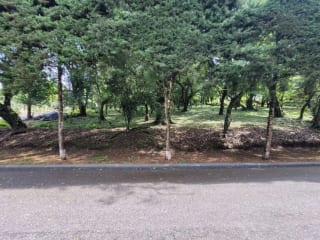 Amplio terreno en km 20 CAES Fraijanes — miniatura 1 de 6