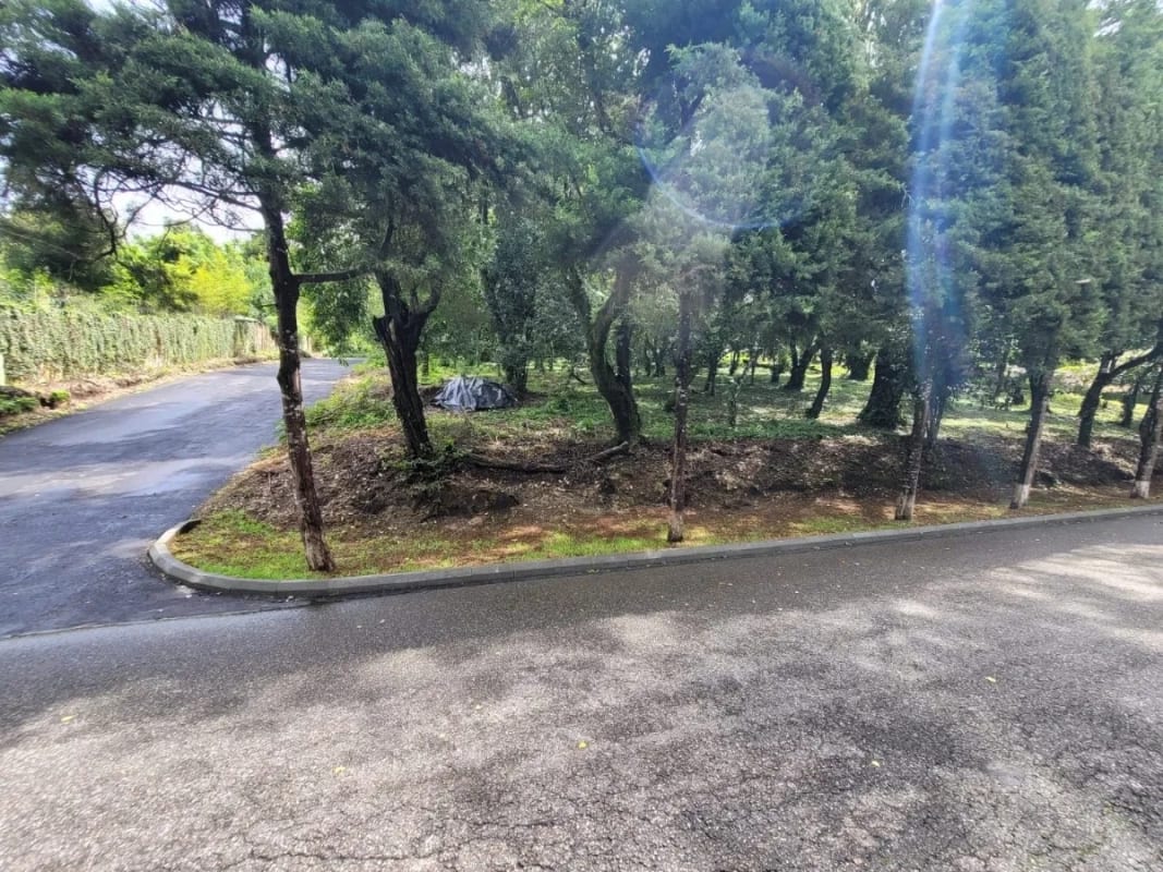 Amplio terreno en km 20 CAES Fraijanes — foto 6 de 6